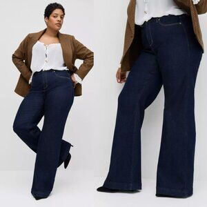 NWT Torrid Raw Studio Premium High-Rise Flare Jean 18 18R